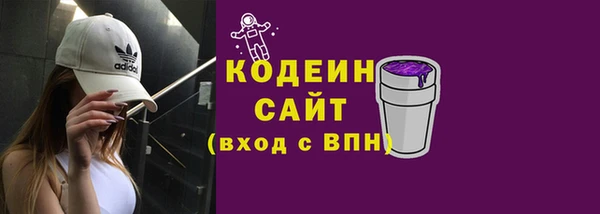 амф Каменка
