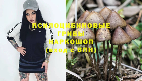 стафф Каменногорск