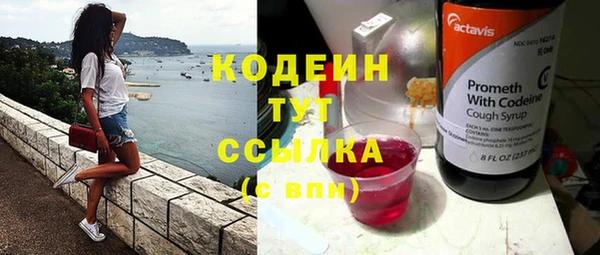стафф Каменногорск