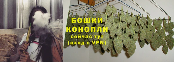 стафф Каменногорск