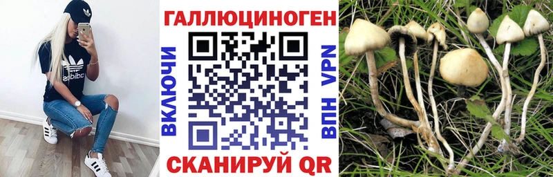 Купить  Ипатово  Псилоцибиновые грибы MAGIC MUSHROOMS 
